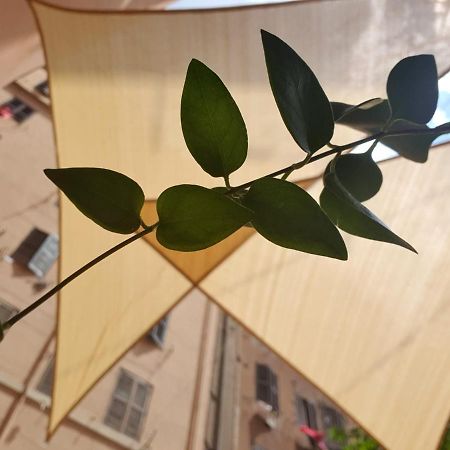 Lapo'S Apartment'S Roma Eksteriør bilde